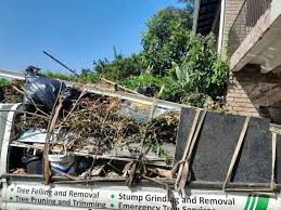 Best Attic Cleanout  in Winters, TX